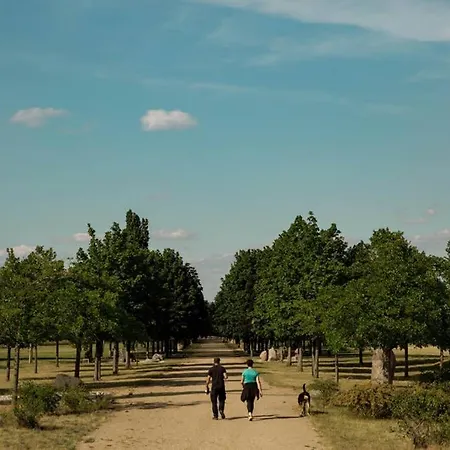 Apartamento Seeblick & Terrasse! Moderne 96qm Grossraeschen