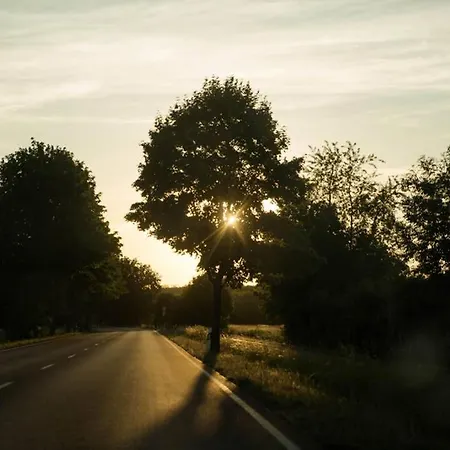 Seeblick & Terrasse! Moderne 96qm