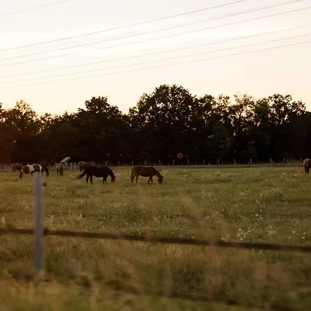 Apartamento Seeblick & Terrasse! Moderne 96qm Grossraeschen