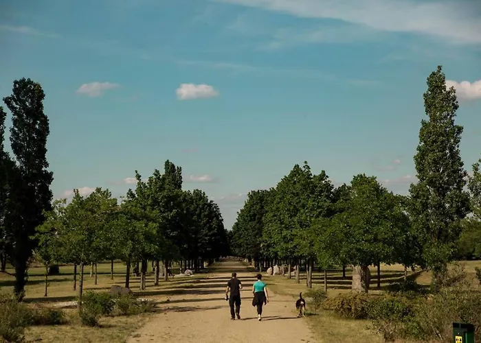 Apartment Seeblick & Terrasse! Moderne 96qm Grossraeschen