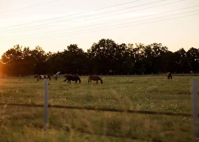 Apartment Seeblick & Terrasse! Moderne 96qm Grossraeschen